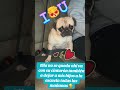 Mi hermosa Sashita la consentida #video #paratii #love