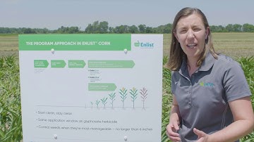 Program Approach Means Season-long Weed Control in Enlist™ Corn