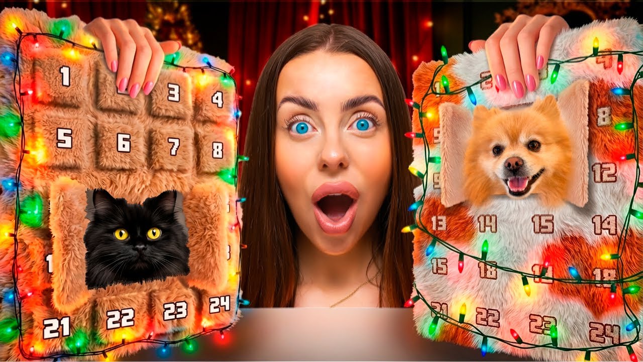 Psi vs. Koci Kalendarz Adwentowy!
