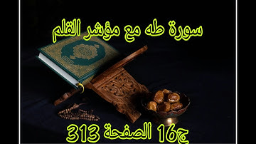 سورة طه مع مؤشر القلم ج16 الصفحة 313