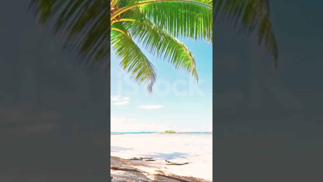 Enjoy Clean Filtered Air