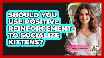 Should You Use Positive Reinforcement To Socialize Kittens? - Happy Cat Handbook