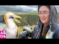 Giant seabirds thunderstorms  and stunning beauty on scotlands coast  ab ep 04