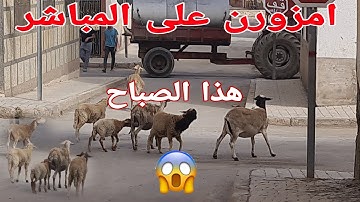 إوا معا من تلاقينا اليوم في امزورن ؟ 😱 الحسيمة/Al hoceima