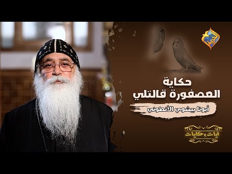 أنا كاهن فاشل حكاية العصفورة قلتلي أيات وحكايات مع أبونا بيشوي الأنطوني على قناةالحرية