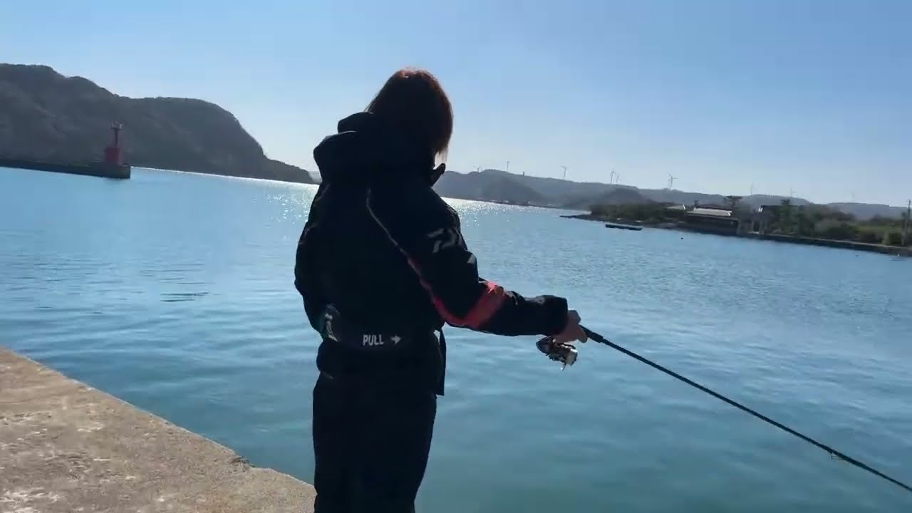 しんちゃんと生配信エギングやった結果… - YouTube