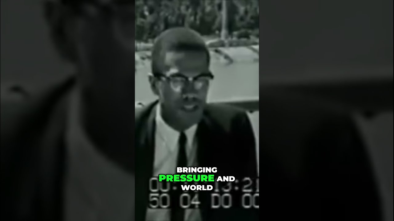 Malcolm X Human Rights The Fight For African Descendants Shorts