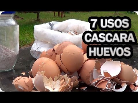 Video: Cáscaras De Huevo Para El Hogar Y El Jardín