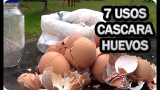 7 Usos De La Cascara De Huevo En El Huerto O Jardin || La Huertina De Toni