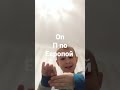 30 ноября 2022 г.