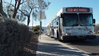 Cat / Rtc - New Flyer D60Lf - 