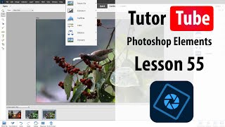 Photoshop Elements Tutorial - Lesson 55 - Guided Frame Creator