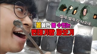 [관찰용]사슴벌레 단체번데기방 부셔보기~~와~~~~[정브르]