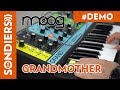 Moog grandmother patches  juste du son  just sound  demo
