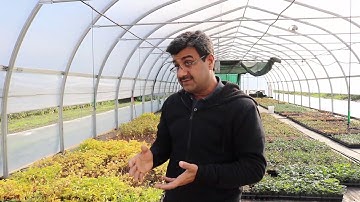 Terramera - Sustainably Maximizing Crop Quality and Farm Yields