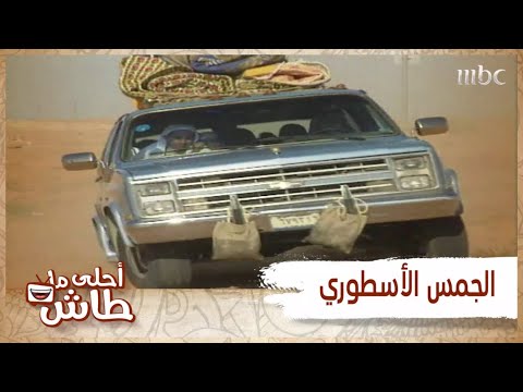 أحلى ماطاش سواليف الجمس الأزرق اللي ما تنسى