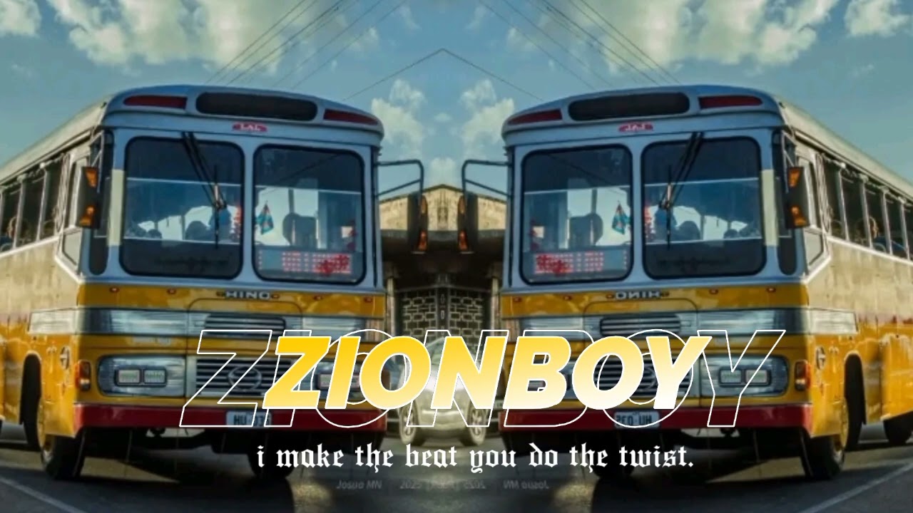 CHAMELEON [MASHUP] ZIONBOY DJ X TICA REMIX