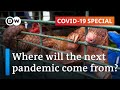 Zoonotic diseases: Can we prevent the next pandemic? | Covid-19 Special