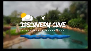 Swimming with Dolphins @ Discovery Cove