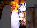 রাজু ও মাইরার জন্য ice cream বানাচ্ছে🍦😂#shorts