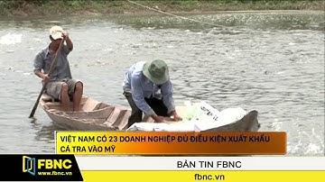 FBNC-Việt Nam có 23 DN đủ điều kiện xuất khẩu cá tra vào Mỹ