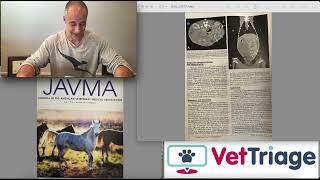 Sclerosing encapsulating peritonitis in a dog