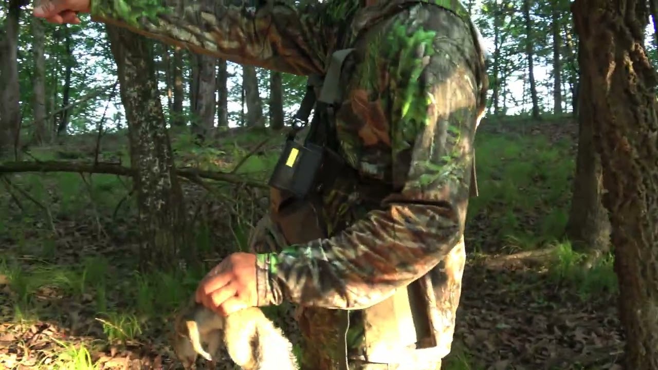 FX Impact M3 .22cal / Air rifle squirrel hunt in Missouri / Tua nas nrog phom cua nyob Missouri