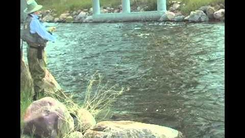 Understanding Riffles in Trout-River Fishing