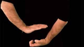 DocuRehab Cervical Adjustment #8b