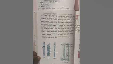Tissues Lect-4 | Science | Class 9 UP Board | By Shashi Gupta | GGIC PHAPHAMAU