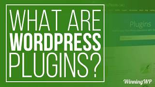 What Are WordPress Plugins  And How To Use Them?