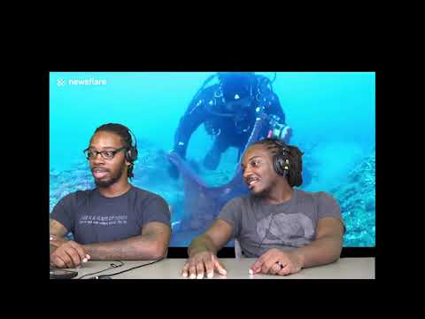 Massive octopus attacks diver, drags equipment through sea Reaction | DREAD DADS PODCAST