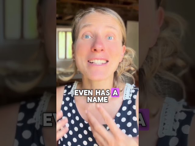 GI Test Came Back "Normal" But You're Feeling Terrible?