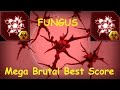 Fungus  mega brutal best score  plague inc evolved 3