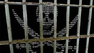 SOPA Drama: Google, Facebook  Oppose Stop Online Piracy Act in Congress