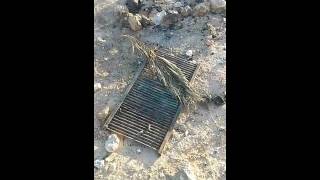 קש נשרף ע"ג