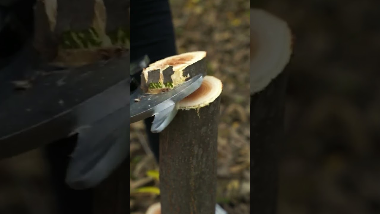 New generation tree cutting pliers 