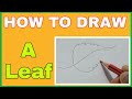 How to draw a leaf  artwart