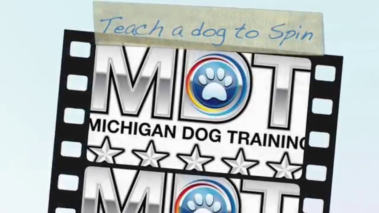 Teach a Dog to Spin