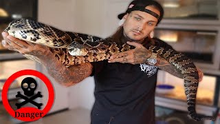 How much do my Massive Rattlesnakes weigh? | Tyler Nolan Profile