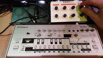 Using Roland