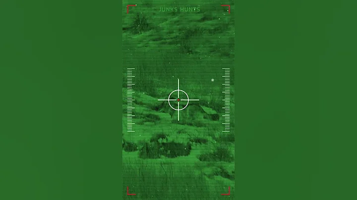 Hunting Coyotes | Night Hunting | #shorts | #045