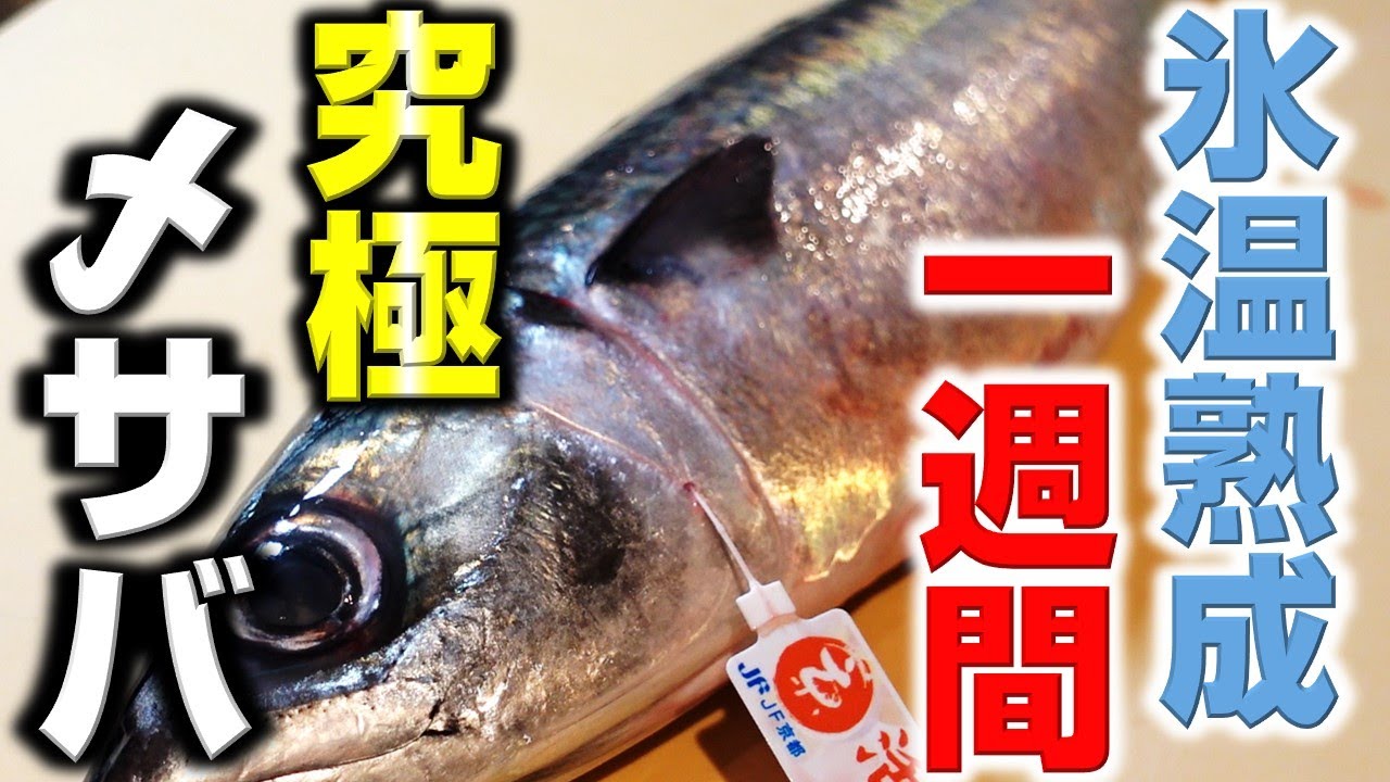 究極の熟成方法公開！【極上サバ氷温熟成1週間】
