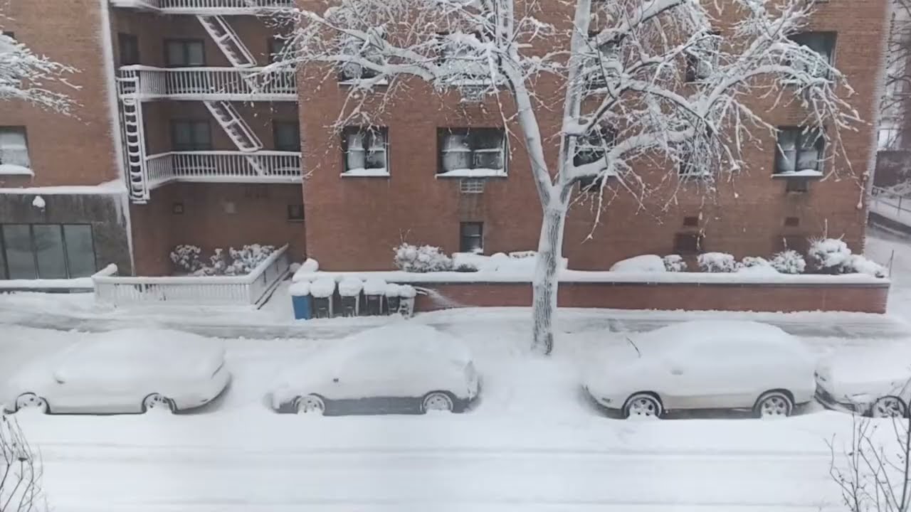 RosieNYC is live! Second Snowstorm in NYC this year