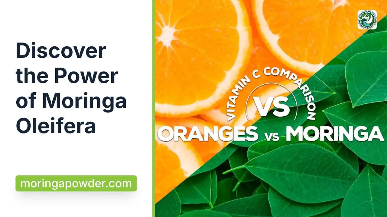 Discover the Power of Moringa Oleifera