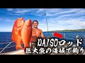 ダイソーロッドで大物泳がせ釣りしたら革命起きた