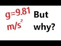 Gravitational Forces and Acceleration