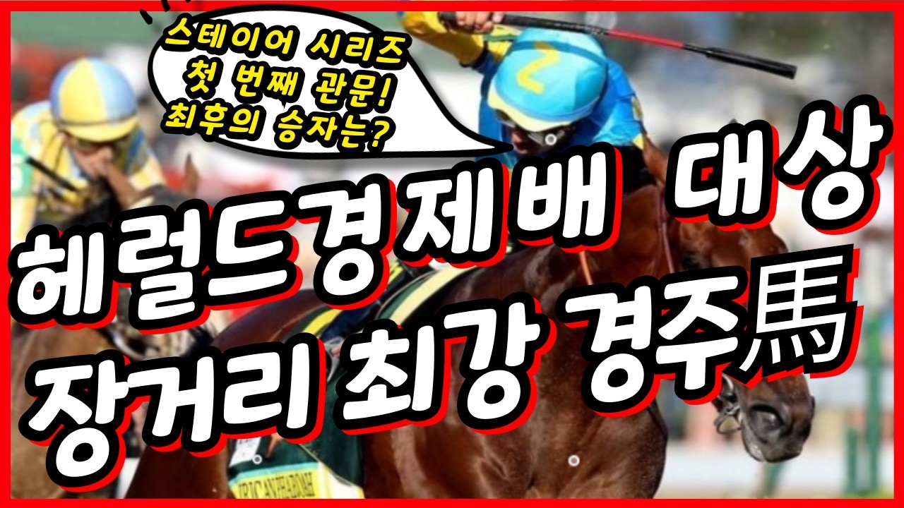 #헤럴드경제배 대상경주 심층분석!