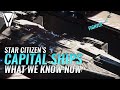 Star Citizen's Capital Ships - What We Know
