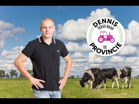 Dennis terug naar de provincie